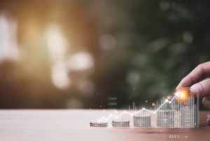 How Small To Medium Businesses Can Thrive With LYNX ERP